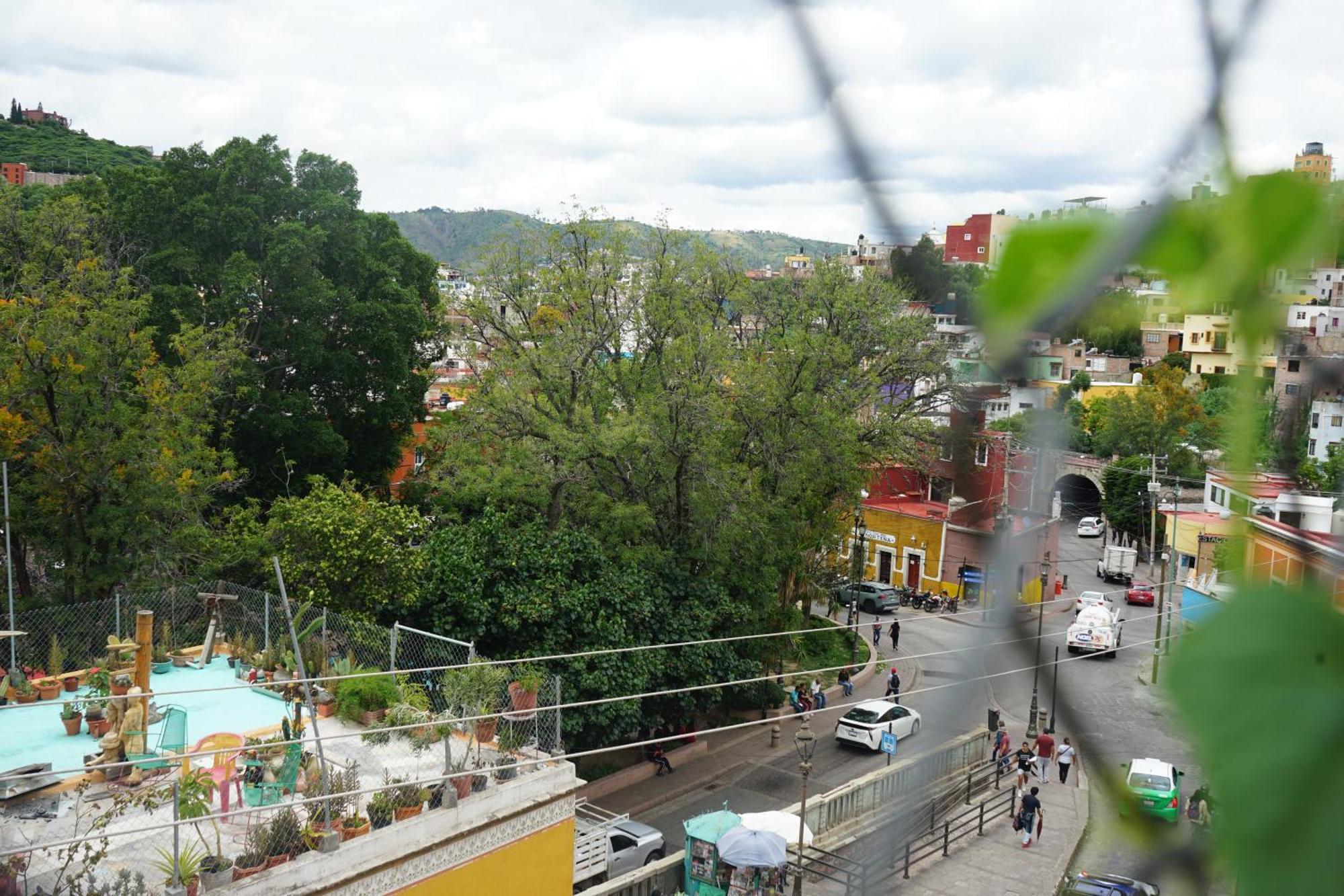 Hostalito Casa Alebrije Homestay
