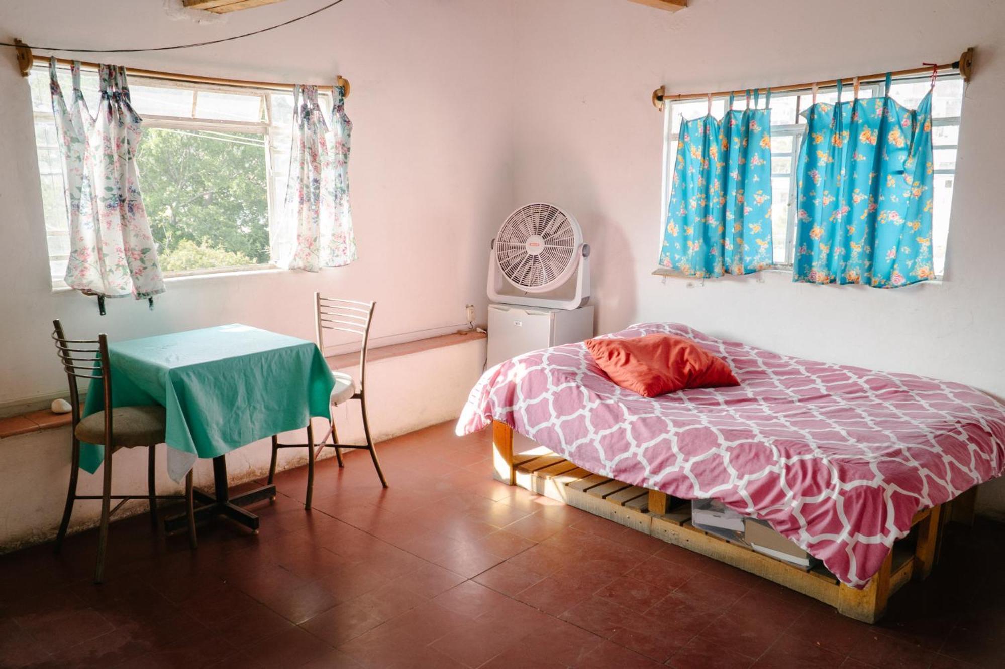 Homestay Hostalito Casa Alebrije *